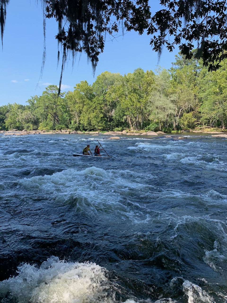 Our switch to a Charlotte Mason&nbsp;homeschool.